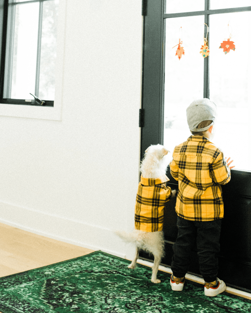 Campfire Flannel for Pups + People