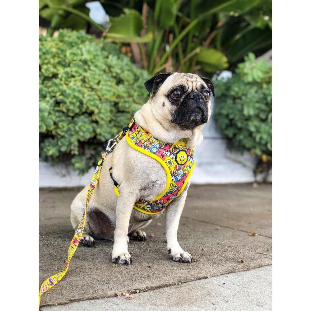Spongebob - SB & Friends | Adjustable Mesh Harness