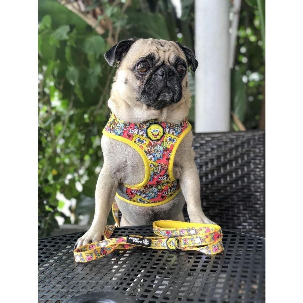 Spongebob - SB & Friends | Adjustable Mesh Harness