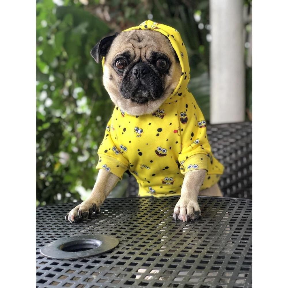 Spongebob - SB All Over Hoodie | Dog Clothing